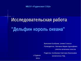 Дельфин король океана
