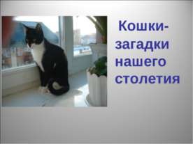 Кошки - загадки нашего столетия