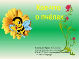 Кое-что о пчёлах