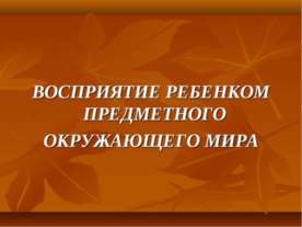 Восприятие ребенком предметного окружающего мира