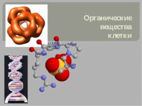 Органические вещества клетки