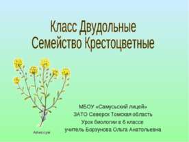Класс Двудольные Семейство Крестоцветные