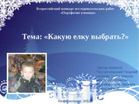 Какую елку выбрать?