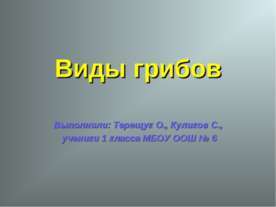 Виды грибов (1 класс)