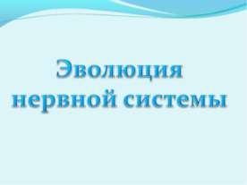 Эволюция нервной системы