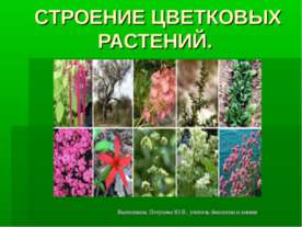 Строение цветковых растений