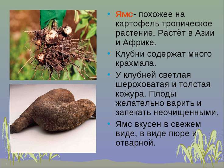 гдз 8 класс география булава скачать бесплатно