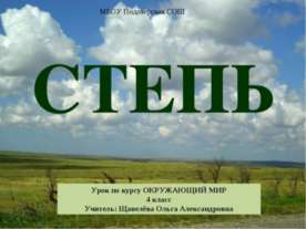 Степь (4 класс)
