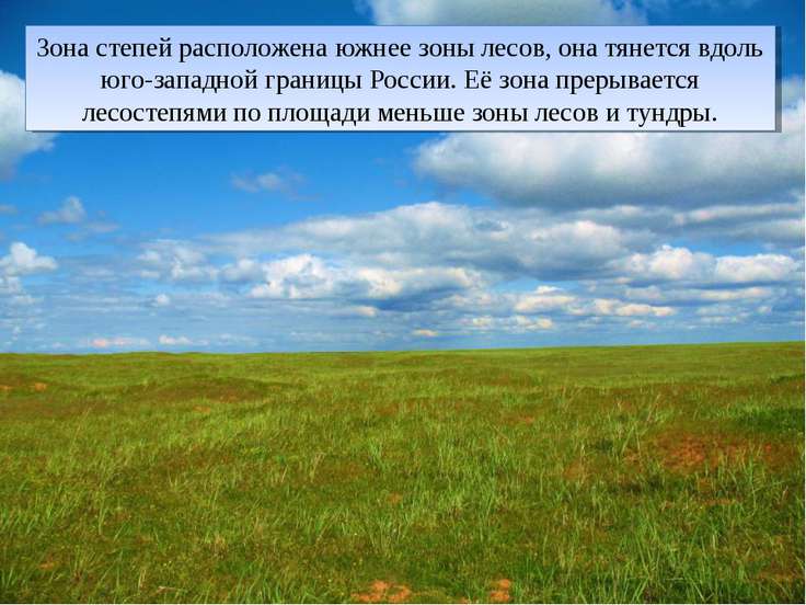 презентация степи 4 класс окружающий мир