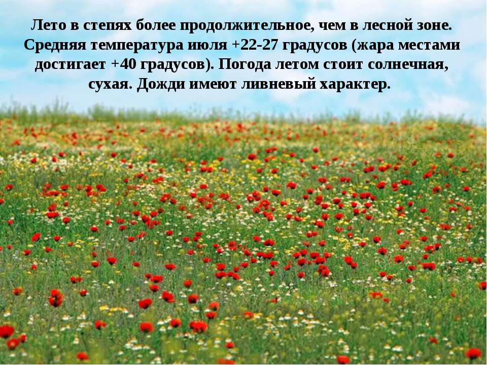 Про 3 доклад степи класс