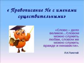 Правописание Не с именами существительными