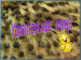 Удивительная птица