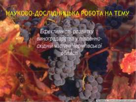 НДР Ефективність розвитку виноградарства