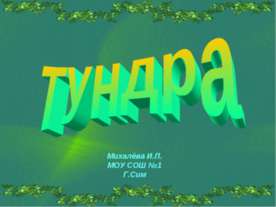 Тундра 8 класс