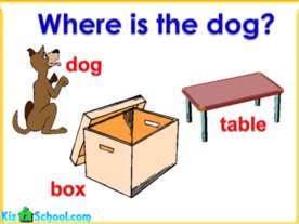 Where is the dog?