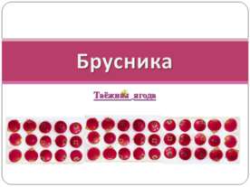 Брусника-таёжная ягода