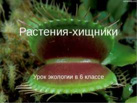 Растения-хищники