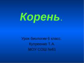 Корень