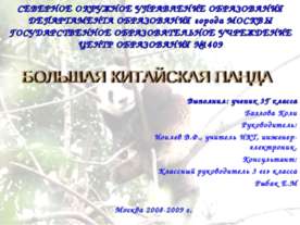 Большая китайская панда