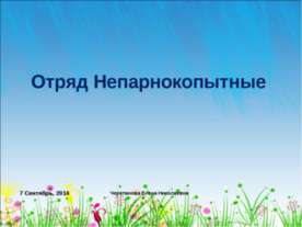 Отряд Непарнокопытные