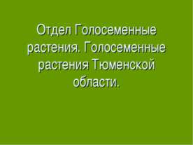 Отдел Голосеменные растения. Голосеменные растения Тюменской области