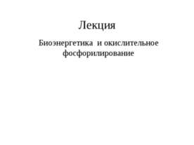Биоэнергетика и окислительное фосфорилирование