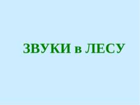 ЗВУКИ в ЛЕСУ