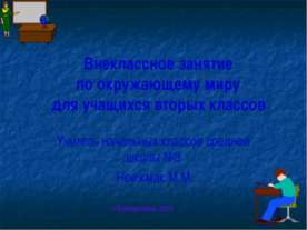 Чудесная раковина