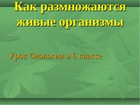 Как размножаются живые организмы