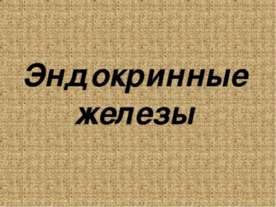 Эндокринные железы