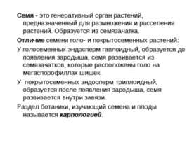 Семя