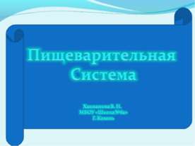 Пищеварительная система (8 класс)