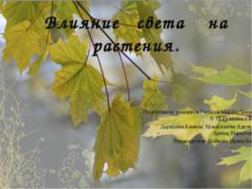 Влияние света на растения