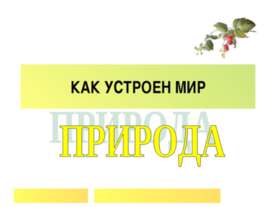Как устроен мир природа