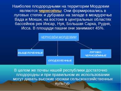 Почвенные ресурсы их использование и охрана презентация