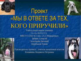 Мы в ответе за тех, кого приручили 4 класс