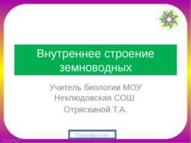 Внутреннее строение земноводных