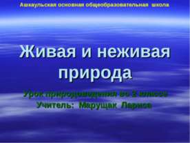 Живая и неживая природа