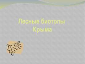 Лесные биотопы Крыма