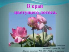 В край цветущего лотоса