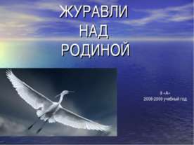 Журавли над Родиной