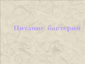 Питание бактерий