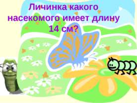 Личинка какого насекомого имеет длину 14 см?