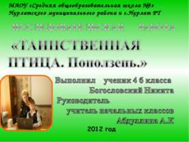 Таинственная птица. Поползень