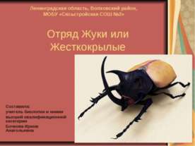 Отряд Жуки или Жесткокрылые