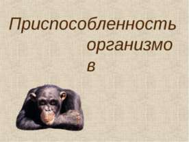 Приспособленность организмов