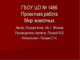 Мир животных