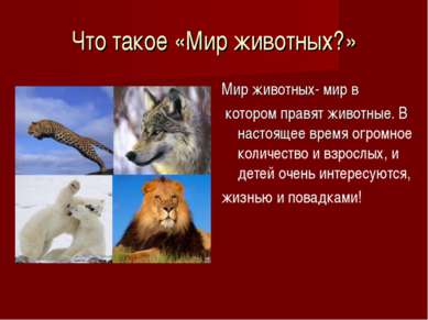 ТОП – Самые интересные животные мира. Мир животных Размеры и среда обитания — иллюстрация 5