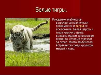 ТОП – Самые интересные животные мира. Мир животных Размеры и среда обитания — иллюстрация 8