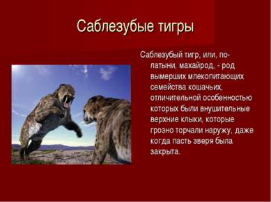 ТОП – Самые интересные животные мира. Мир животных Размеры и среда обитания — иллюстрация 12